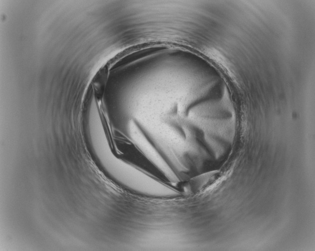 X0000088600924200706151757