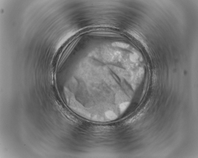 X0000088600925200706151757