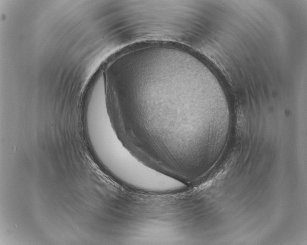 X0000088600926200706151757