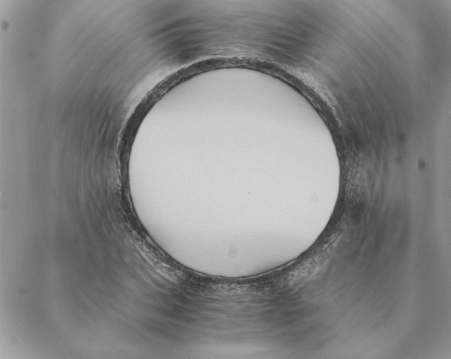 X0000088600927200706151757