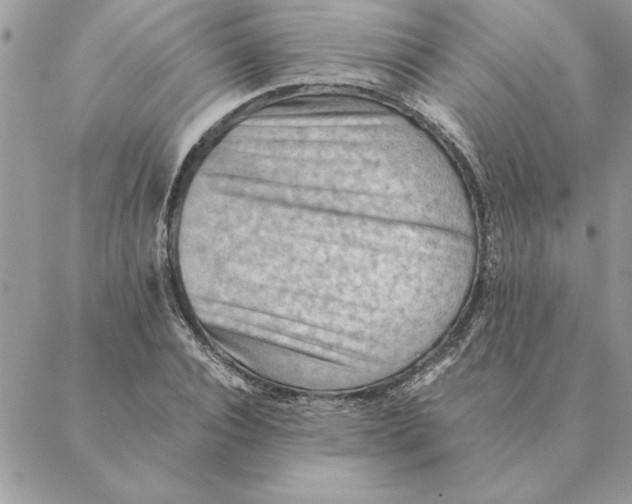 X0000088600928200706151757