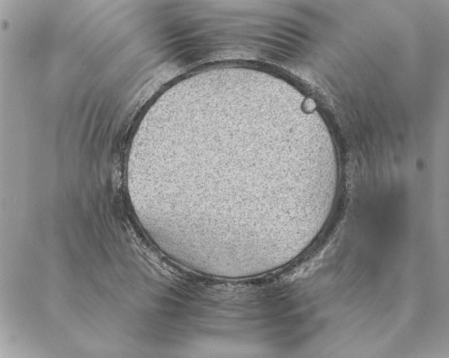 X0000088600929200706151758