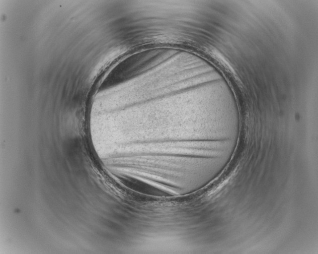 X0000088600930200706151758