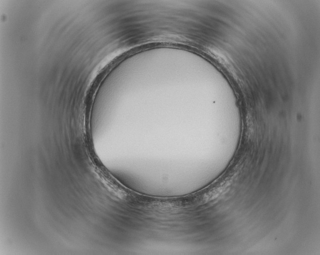 X0000088600931200706151758