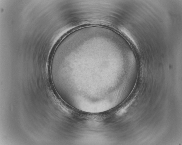 X0000088600932200706151758