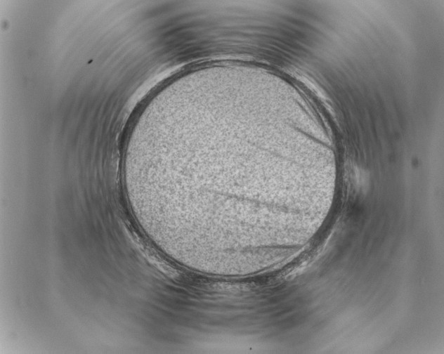 X0000088600933200706151758