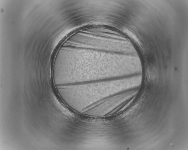 X0000088600934200706151758