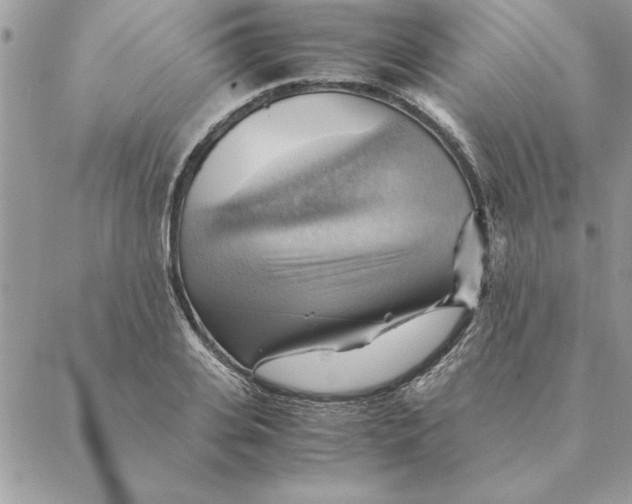 X0000088600935200706151758