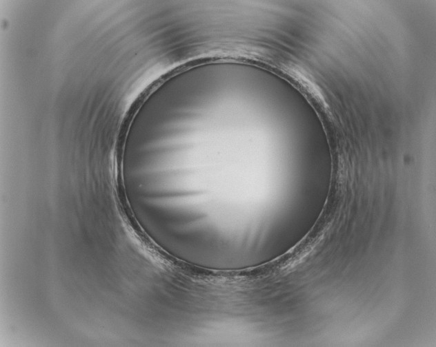 X0000088600936200706151758