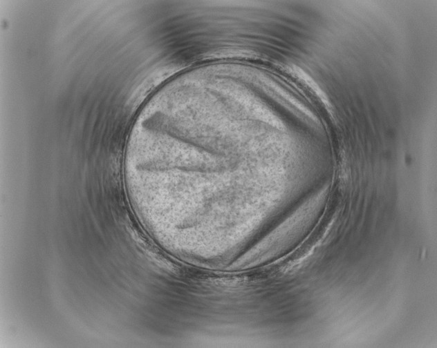 X0000088600937200706151758