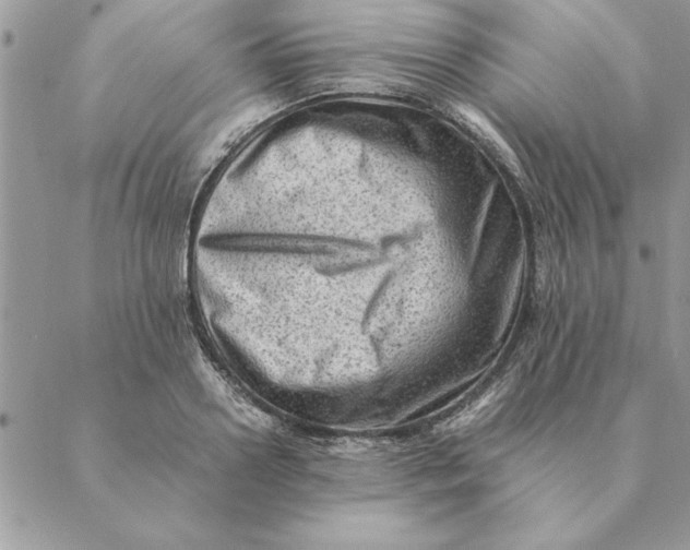 X0000088600938200706151758