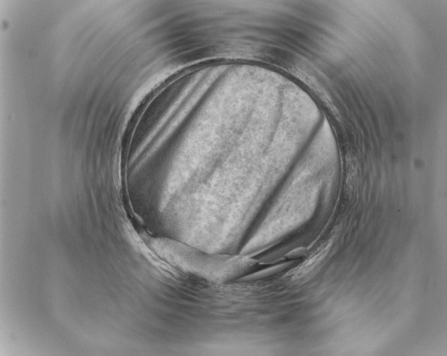 X0000088600939200706151758