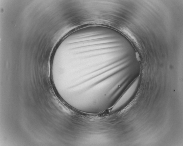 X0000088600940200706151758