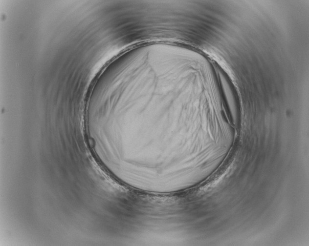 X0000088600941200706151758