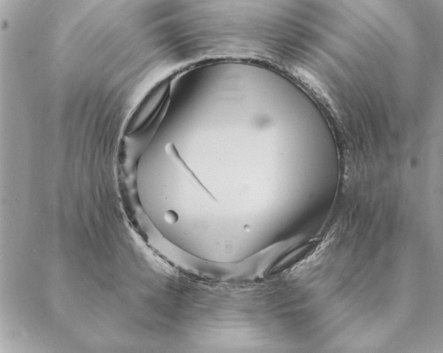 X0000088600942200706151758