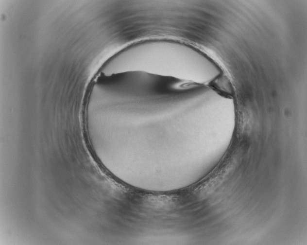 X0000088600943200706151758