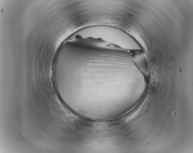 X0000088600944200706151758