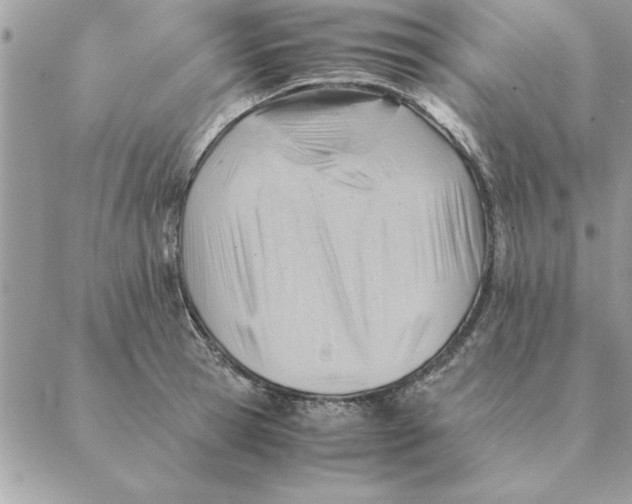 X0000088600945200706151758