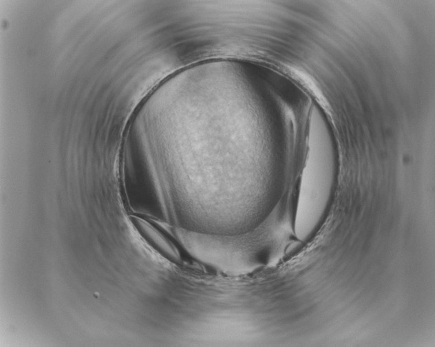 X0000088600946200706151758