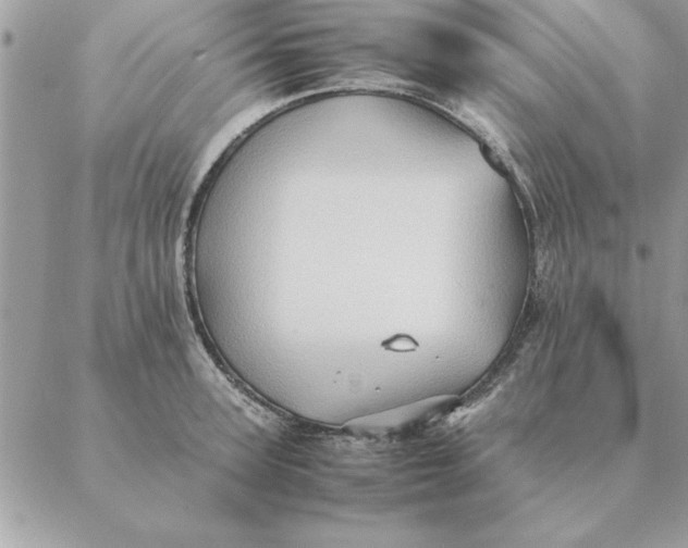 X0000088600947200706151758