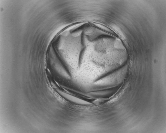 X0000088600948200706151758