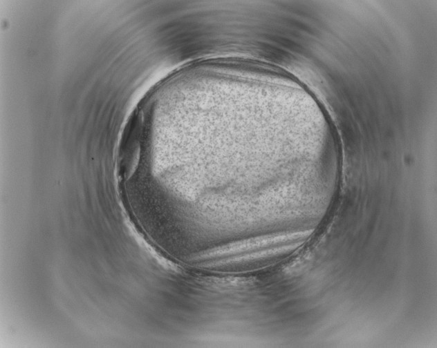 X0000088600949200706151758