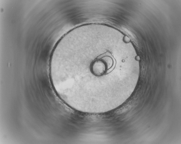 X0000088600950200706151758