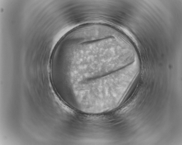 X0000088600951200706151758