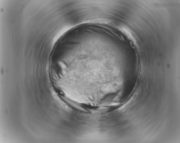 X0000088600952200706151758