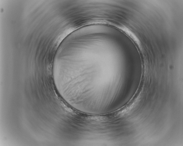 X0000088600953200706151758