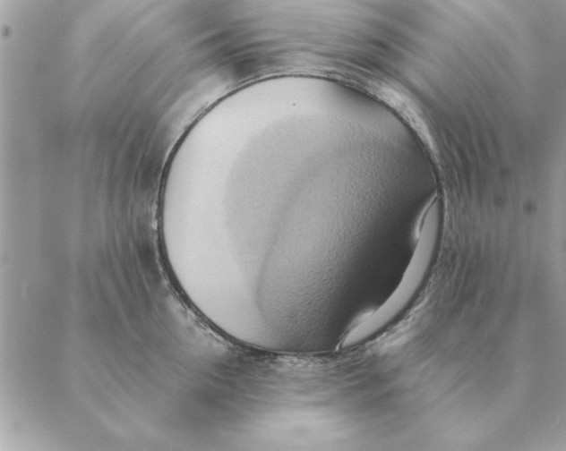 X0000088600954200706151758