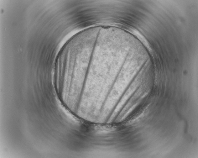 X0000088600955200706151758