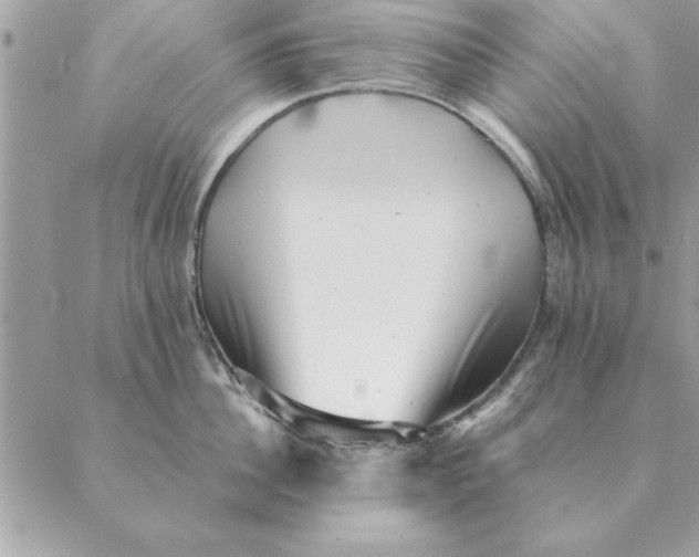 X0000088600956200706151758