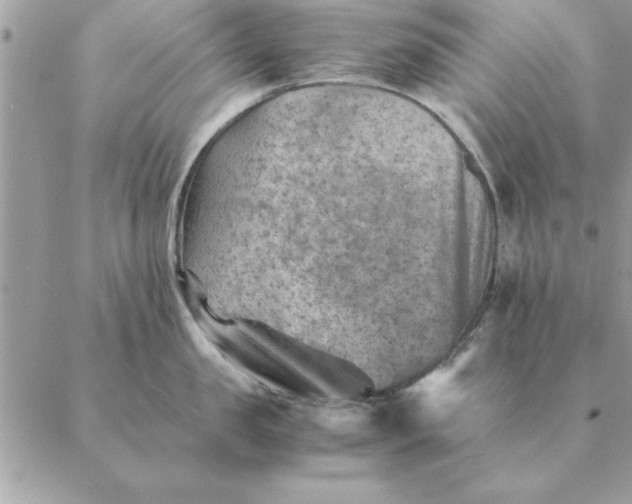 X0000088600957200706151758