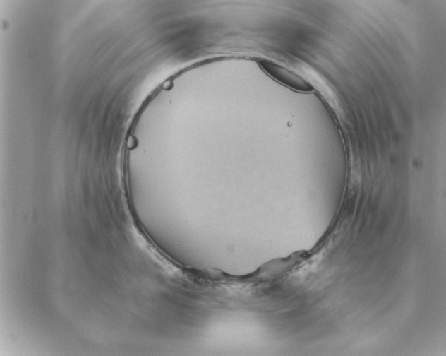 X0000088600958200706151758