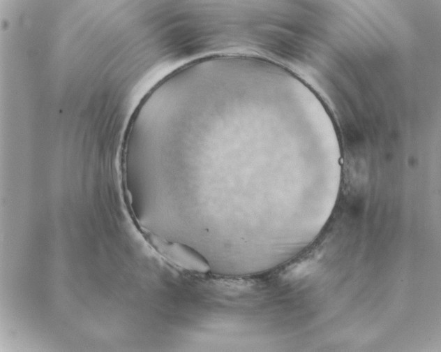 X0000088600959200706151758