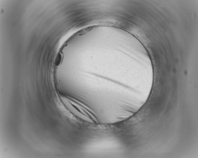 X0000088600960200706151758