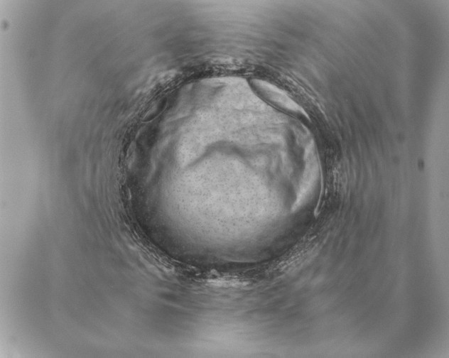 X0000088600961200706151757