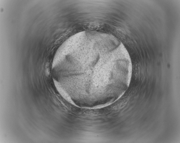 X0000088600962200706151757