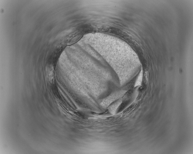 X0000088600963200706151757