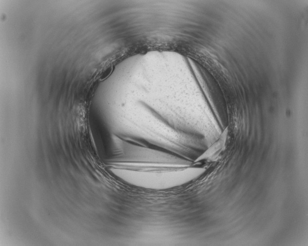 X0000088600964200706151757