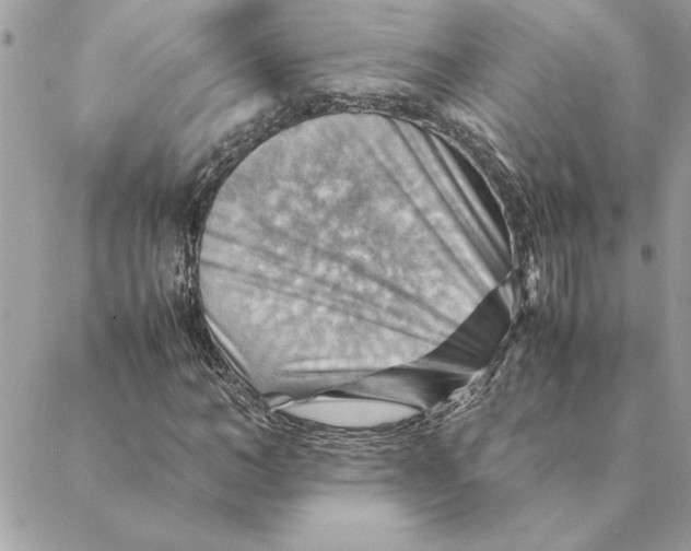 X0000088600966200706151757