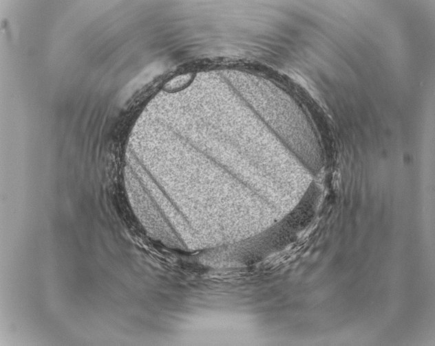 X0000088600967200706151757