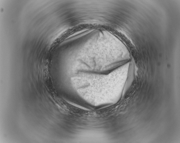 X0000088600968200706151757