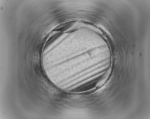 X0000088600969200706151757