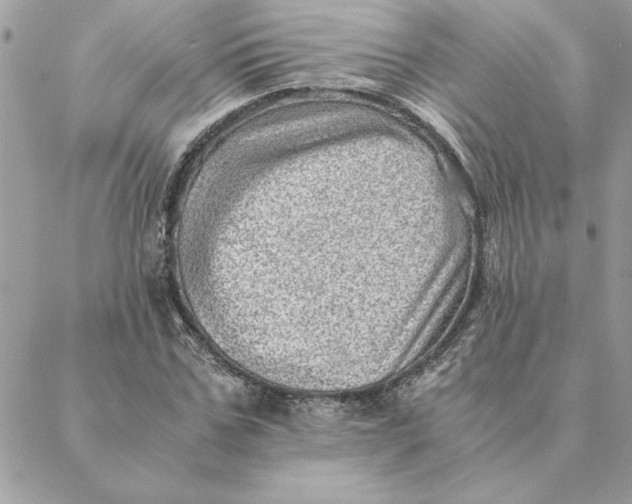 X0000088600971200706151757