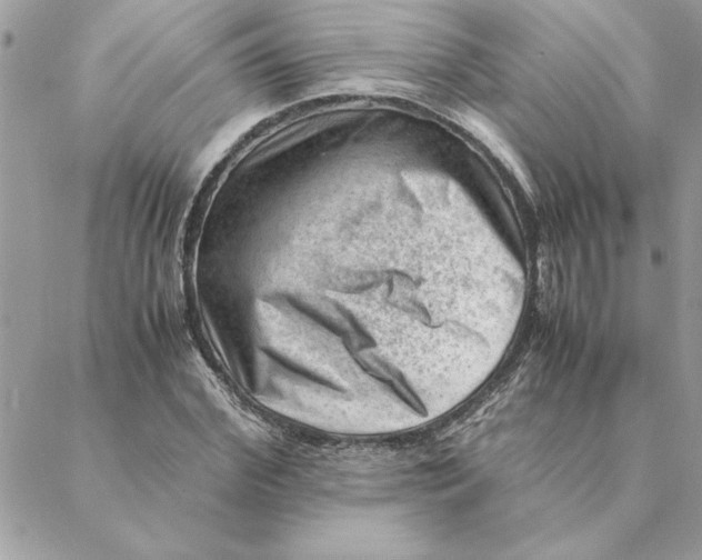 X0000088600972200706151757