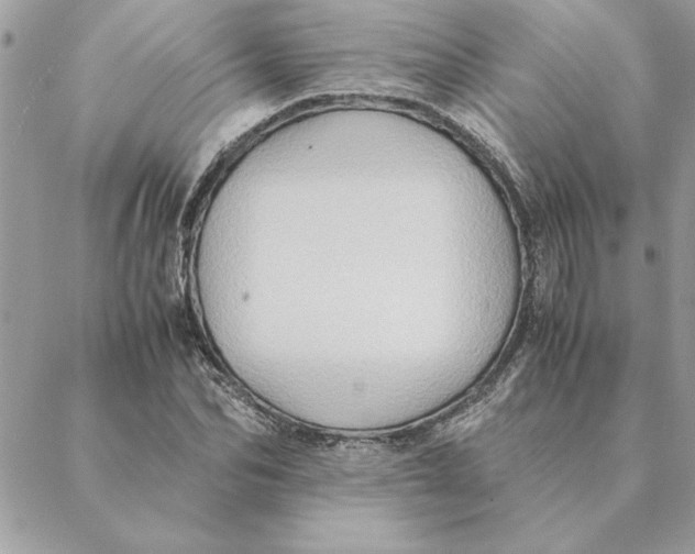 X0000088600974200706151757