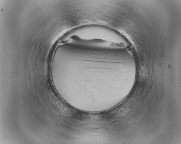 X0000088600975200706151757