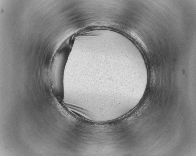 X0000088600976200706151757